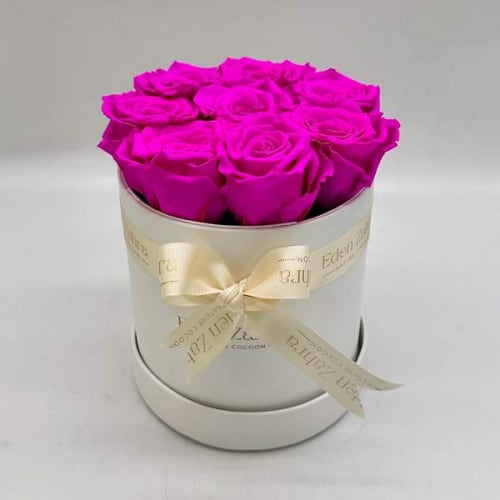 Rond D’Etoile Fuschia Rond D’Etoile Fuschia